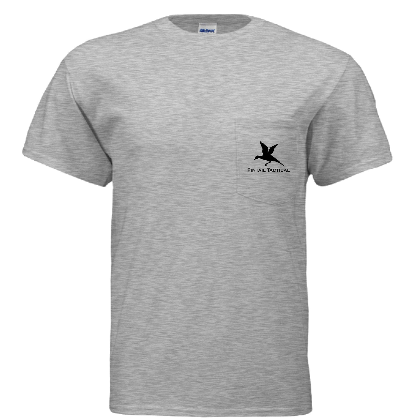 ASH - FRONT